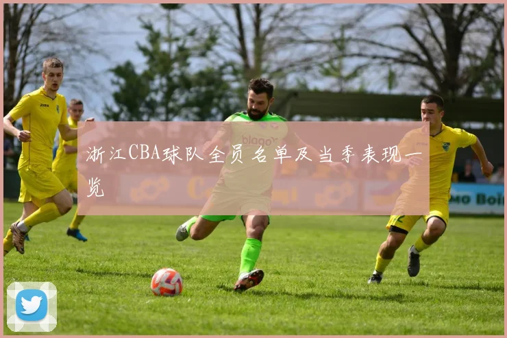 浙江CBA球队全员名单及当季表现一览